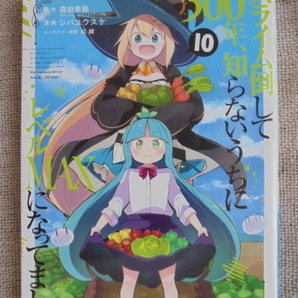 スライム倒して300年、知らないうちにレベルMAXになってました 第10巻 原作: 森田季節 漫画: シバユウスケ