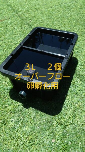 メダカ飼育ボックス 仕切りあり 3L 2個 オーバーフロー機能