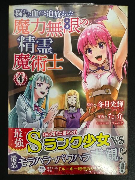 穢れた血だと追放された魔力無限の精霊 4
