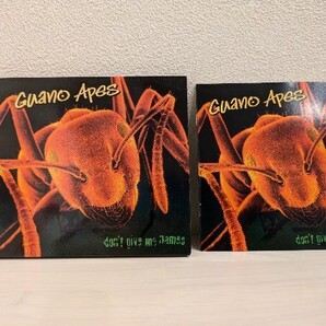 送料無料 Don't Give Me Names GUANO APES グアノエイプス CD USED/(検)Skunk Anansie SEVENDUST deftones TOOL korn