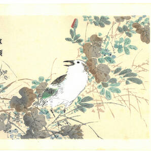 真作保証 幸野楳嶺 木版画 むくどり Starling 初版 明治~ 今にも飛び立ちそうなリアルな鳥たち!
