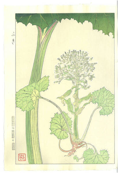 真作保証 葛原 輝 木版画 F145 ふき 初版昭和初期~ 京都らしい花版画の美をご自宅でお楽しみください。