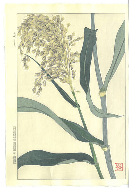 真作保証 葛原 輝 木版画 F158 あし 初版昭和初期~ 京都らしい花版画の美をご自宅でお楽しみください。
