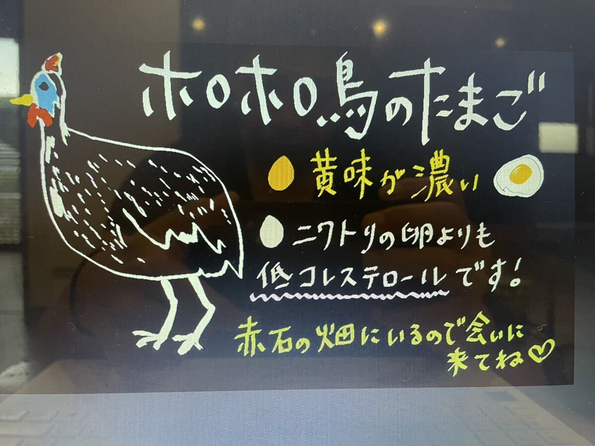 七面鳥最大ブロンズ種の食用有精卵5個【終卵まじか】落札日まで
