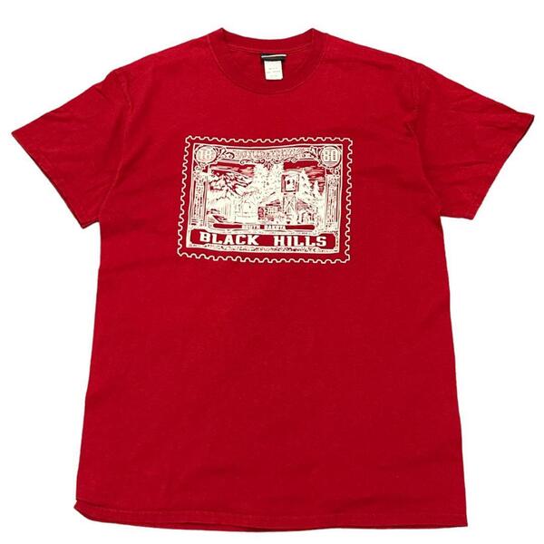 半袖Tシャツ サウスダコタ州 ブラックヒルズ USシティ 夏物古着 g92 M相当