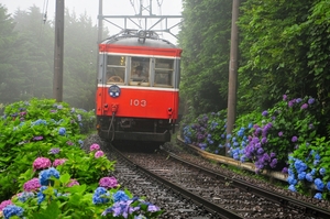 鉄道 デジ 写真 画像 箱根登山鉄道 103-107編成(サンナナ) 引退記念 9