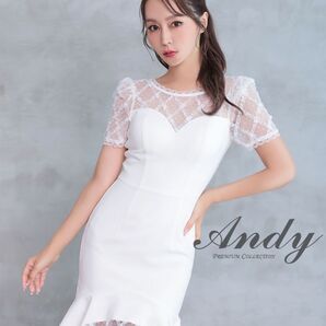 【タグ付き新品】Andy ミドル丈ドレス