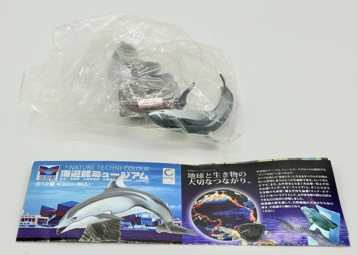 Yahoo!オークション -「ネイチャーテクニカラー 海遊館」の落札相場・落札価格 Yahoo!オークション -「ネイチャーテクニカラー 海遊館」の落札相場・落札価格