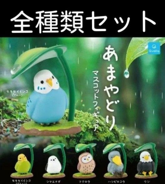 あまやどり コンプリートセット