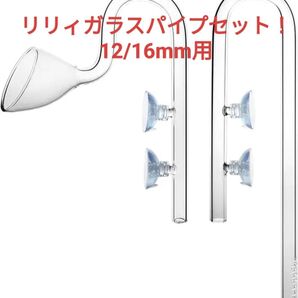リリィパイプ 吸水 出水 セット クリアガラス製 (12/16mm ホース用)
