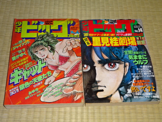 Yahoo!オークション -「少年ビッグコミック」(本、雑誌) の落札 Yahoo!オークション -「少年ビッグコミック」(本、雑誌) の落札