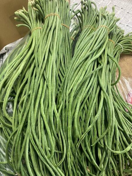 ささげ豆10kg