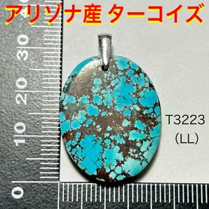 天然石 アリゾナ産 ターコイズ ペンダントトップ(LL)