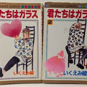 君たちはガラス 1・2巻セット 完結 いくえみ綾/著 集英社 マーガレットコミックス 少女漫画 マンガ 青春 高校生 姉妹 恋愛 繊細 本