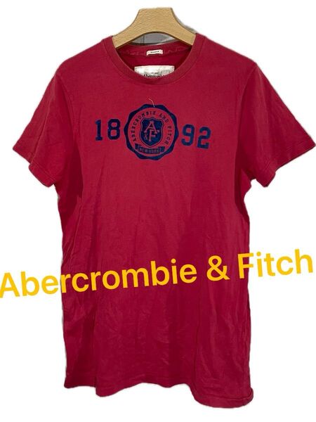 Abercrombie & Fitch アバクロ フロッキー 半袖Tシャツ