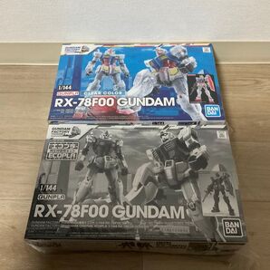 ガンダムファクトリー横浜 1/144 F00ガンダム エコプラ・クリアカラー