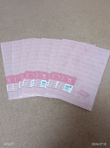 ナカバヤシ/ヒポポシリーズ 抗菌マルチファイル (HPP-TH) チケットホルダーやマスクケースとして使える、便利なマルチファイル 8枚
