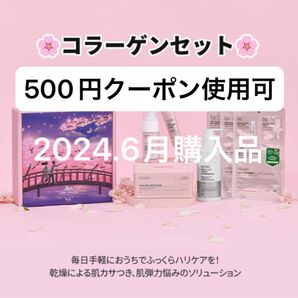 半額 セール 新品 VT シカコラーゲンセット スキンケアセット クーポン