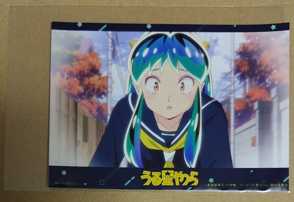 うる星やつらノイタミナカフェ特典ブロマイド ラム