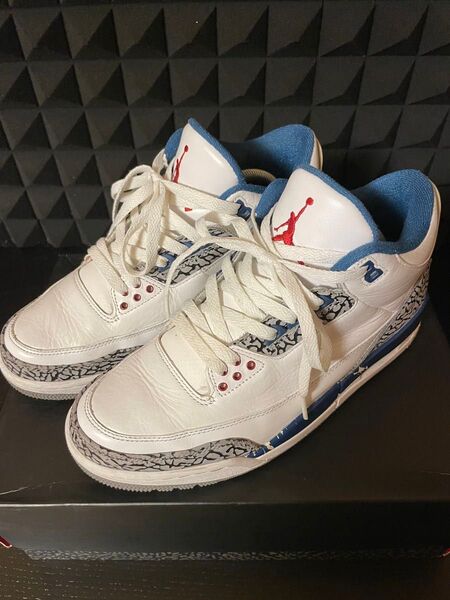 ナイキ AIR JORDAN 3 TRUE BLUE 2011