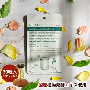 国産酵素「nagomiKOUSO」サプリメント 10日分 野菜他ビタミンB1配合