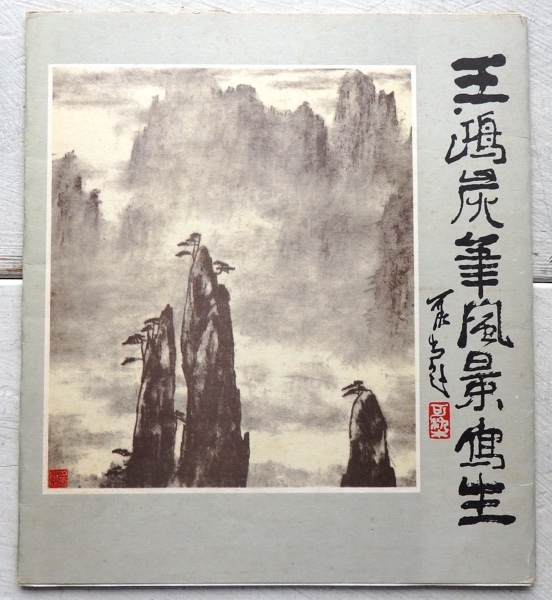 Chine Wang Hong Fusain Paysage Croquis Maison d’édition des Beaux-Arts du Peuple 1983, Peinture, Livre d'art, Collection, Livre d'art