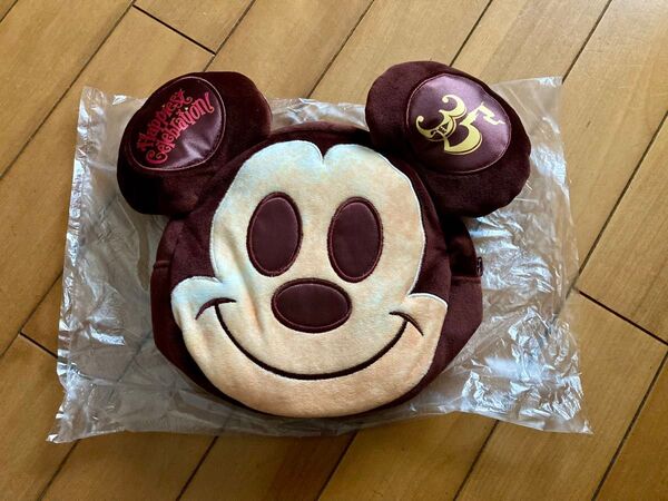 ディズニー 35周年スーベニアバッグ