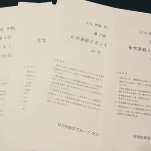 SEG EDUCA 化学実戦テストゼミ上級 吉久 18年 東進 Z会 ベネッセ SEG 共通テスト 駿台 河合塾 鉄緑会