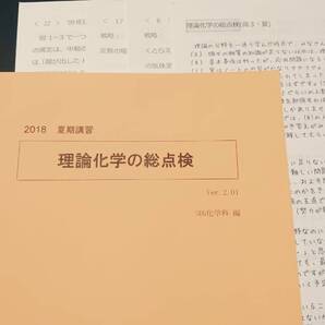 SEG 理論化学の総点検 18年 吉久 難関大 東進 Z会 ベネッセ SEG 共通テスト 駿台 河合塾 鉄緑会