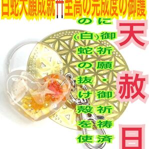 蛇の抜け殻 もみじ 脱け殻 開運 恋愛 レジン ヒトデ キーホルダー メモリーオイル 真珠 ハート 花 白蛇のお守り【天赦日ご祈祷済み】14