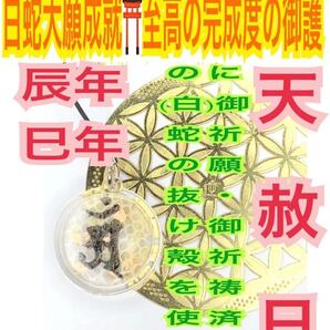 白蛇の抜け殻 梵字 辰 巳 普賢菩薩 強力 脱け殻 ストラップ メモリーオイル 厄除け 守護 真言 白蛇 の お守り【天赦日ご祈祷済み】財布