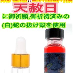 【やる気 1ml 白蛇の抜け殻入り】Motivation メモリーオイル 原液の小分け アシェント 脱け殻 白蛇のお守り【天赦日ご祈祷済み】13