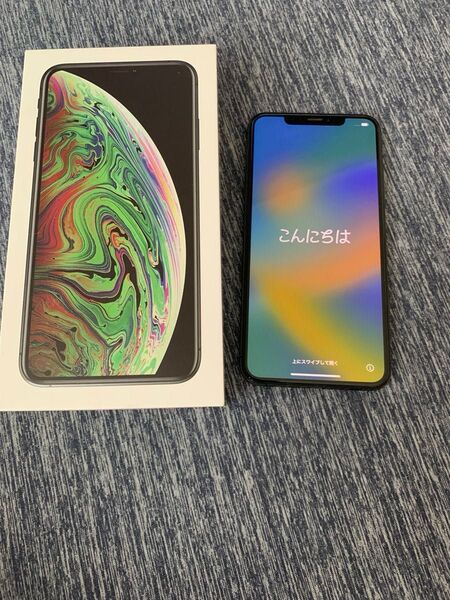 iPhone Xs Max Space Gray 256 GB Softbank