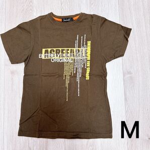 半袖Tシャツ ブラウン Mサイズ プリント 半袖 HOL-BLOOK