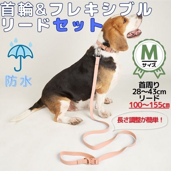 防水●首輪・リードセット★Mサイズ●28~43㎝★ベージュ★フレキシブルリード●100~155㎝☆ハンズフリー☆多機能★着脱簡単