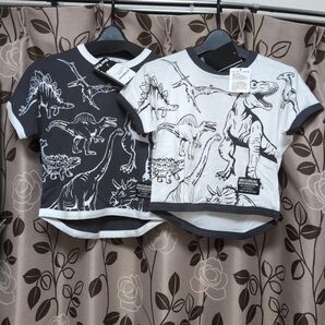 blue Mart 恐竜柄Tシャツ2枚セット サイズ120/130 新品