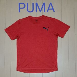PUMA プーマ 半袖Tシャツ Mサイズ(大きめ) レッド DRY CELL