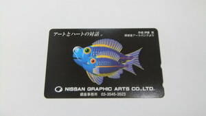 希少 即決 新品 アート テレホンカード 伊藤薫 ニッサン グラフィック 魚 さかな 50度数 未使用 送料無料