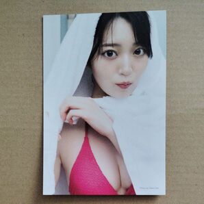 乃木坂46 阪口珠美 ファースト写真集 青いバラ 封入特典 ポストカード