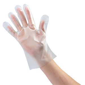 【新品】(まとめ) フィットTPE手袋/使い捨て手袋 〔Lサイズ 100枚入り〕 パウダーフリー 食品衛生法適合 左右兼用 〔×5個セット〕