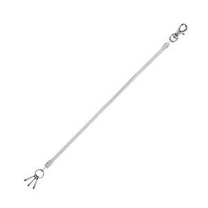 【新品】(まとめ) レイメイ藤井 コイルキーチェーン26~100cm クリア GLK301T 1個 〔×30セット〕