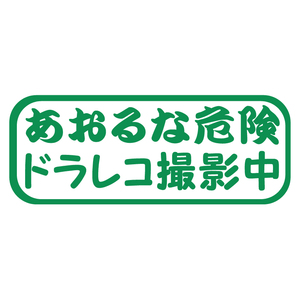 送料無料 オリジナルステッカー あおるな危険 ドラレコ 撮影中 グリーン 安全なドライブの為に