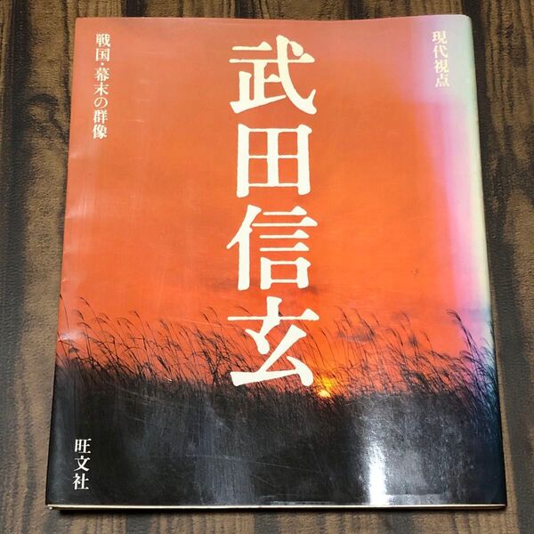 武田信玄 大きめなAB判 現代視点 旺文社
