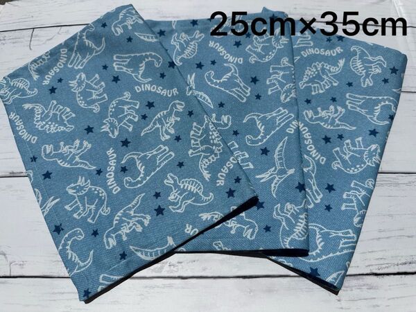 ランチョンマット ランチマット ハンドメイド 3枚set 恐竜 ダイナソー