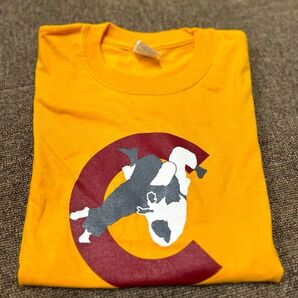 Tシャツ