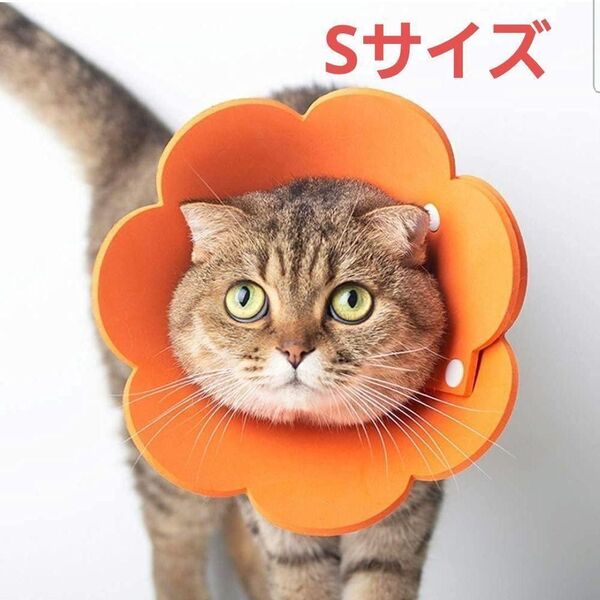 猫 エリザベスカラー ねこ 犬 ペット 術後 避妊 傷口保護 介護 皮膚病