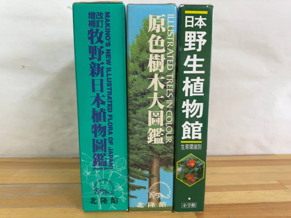Yahoo!オークション -「牧野日本植物図鑑」の落札相場・落札価格 Yahoo!オークション -「牧野日本植物図鑑」の落札相場・落札価格