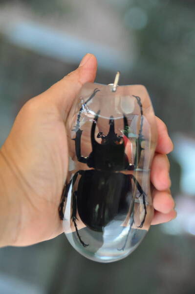 アトラスオオカブトのキーホルダー インドネシア製
