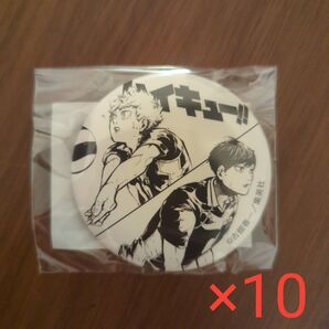 ハイキュー!! 缶バッジ 仙台観光特使就任記念 10個セット