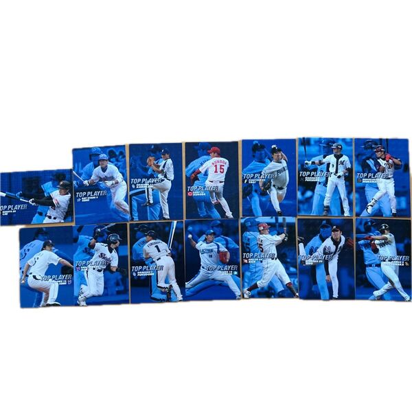 【再再再値下げ】プロ野球チップス2007トッププレイヤーカードセット